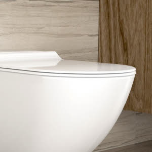WC-Sitz Ausführung: extra flach